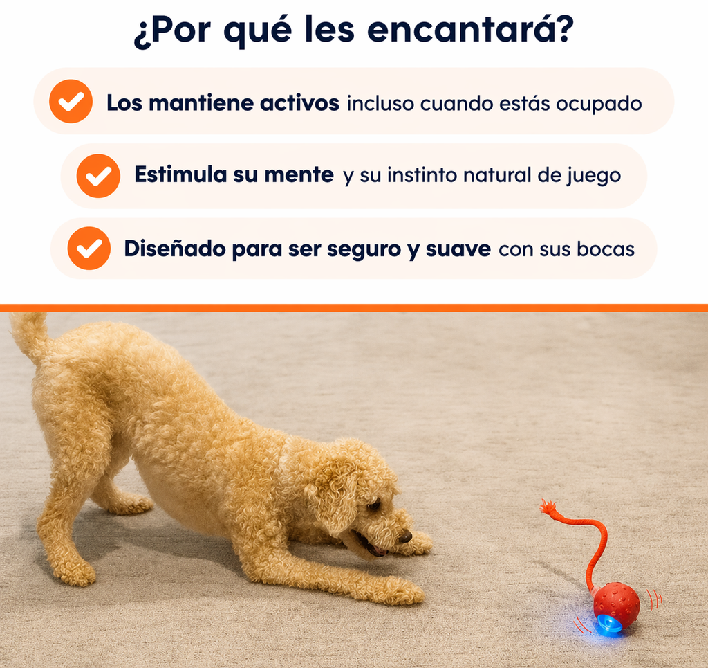 Focus-ball original
