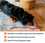 Focus-ball original