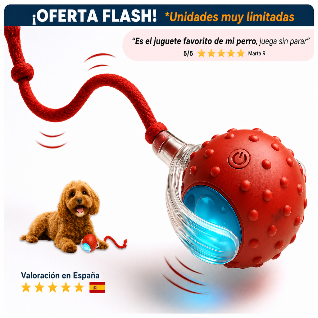 Focus-ball original